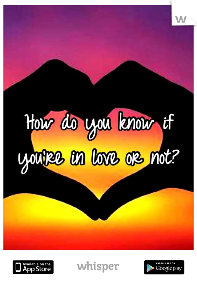 How do you know if you're in love or not?