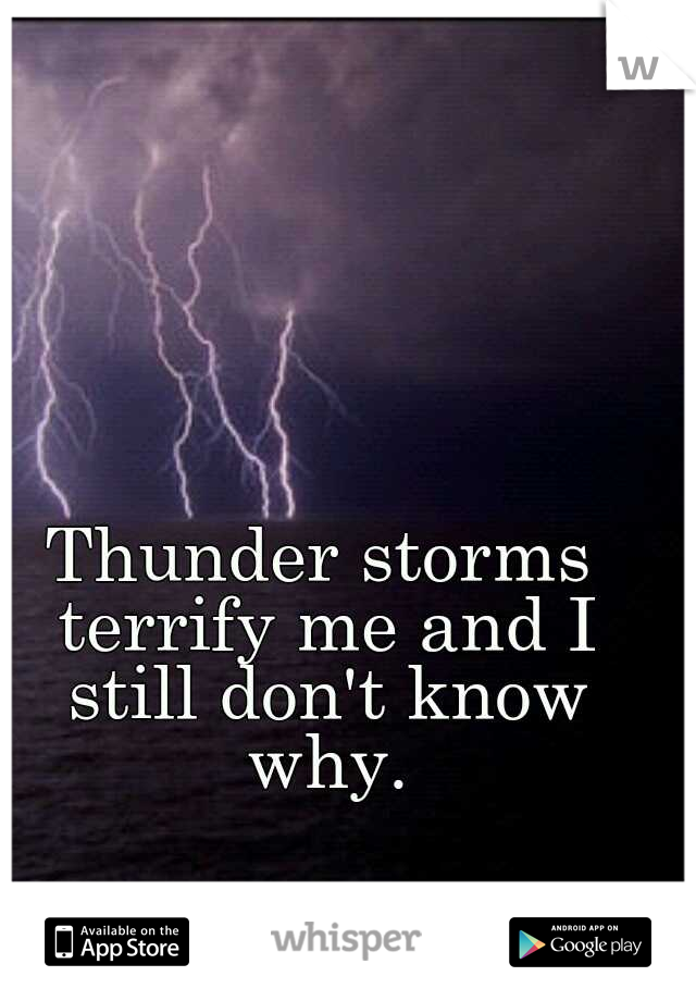 Thunder storms terrify me and I still don't know why.