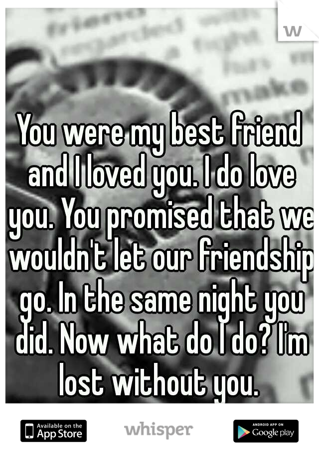 You were my best friend and I loved you. I do love you. You promised that we wouldn't let our friendship go. In the same night you did. Now what do I do? I'm lost without you. 