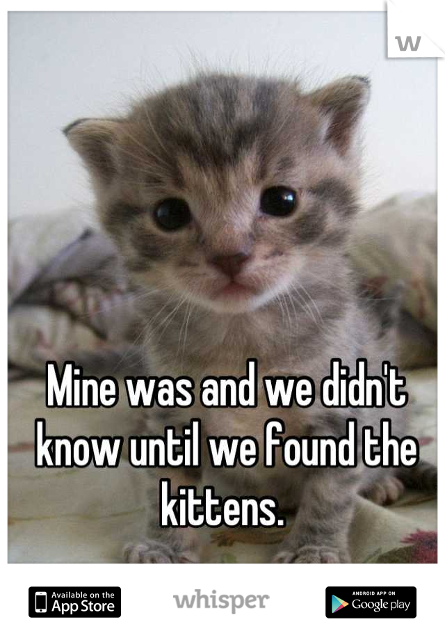 Mine was and we didn't know until we found the kittens. 