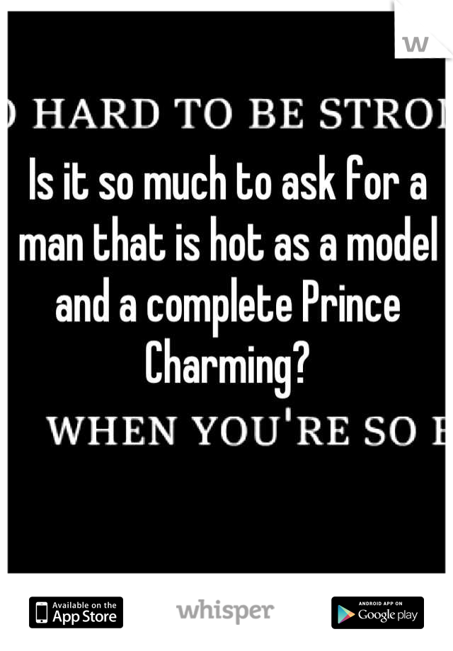 Is it so much to ask for a man that is hot as a model and a complete Prince Charming?