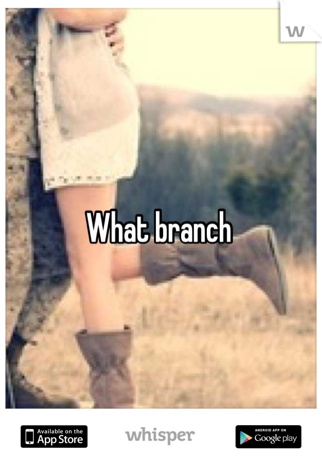 What branch 