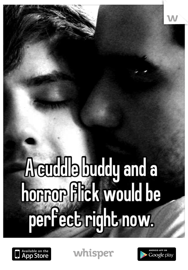 A cuddle buddy and a horror flick would be perfect right now.