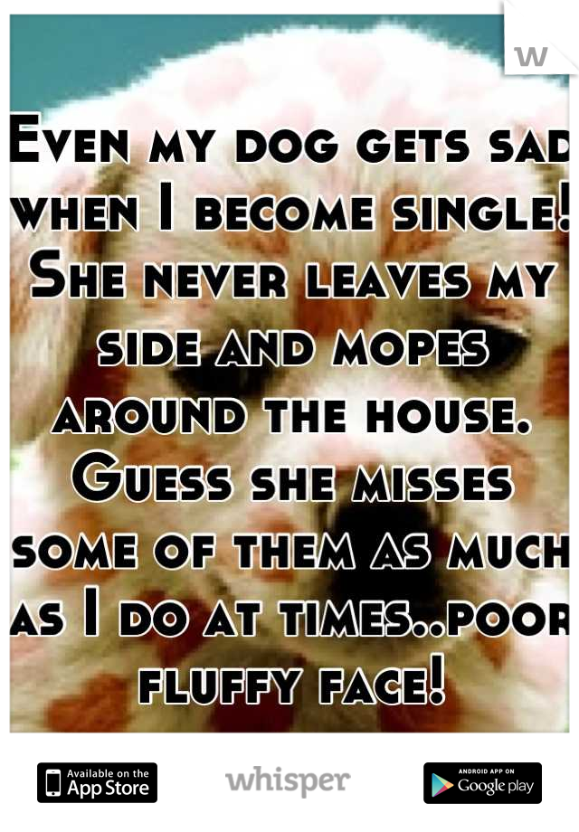 Even my dog gets sad when I become single! She never leaves my side and mopes around the house. Guess she misses some of them as much as I do at times..poor fluffy face!