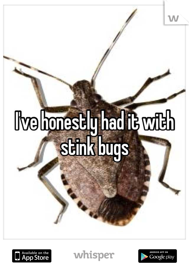 I've honestly had it with stink bugs