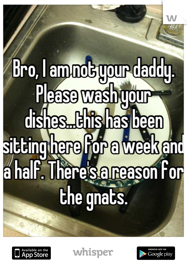 Bro, I am not your daddy. Please wash your dishes...this has been sitting here for a week and a half. There's a reason for the gnats.