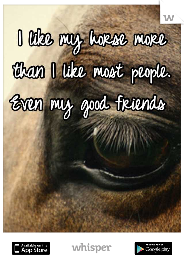 I like my horse more than I like most people. Even my good friends 