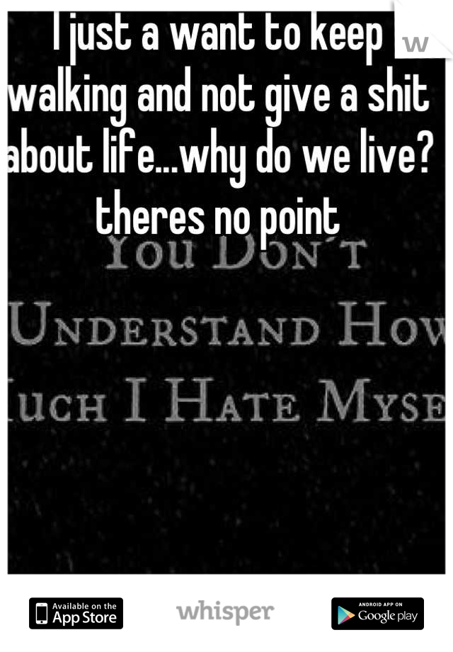 I just a want to keep walking and not give a shit about life...why do we live?theres no point

