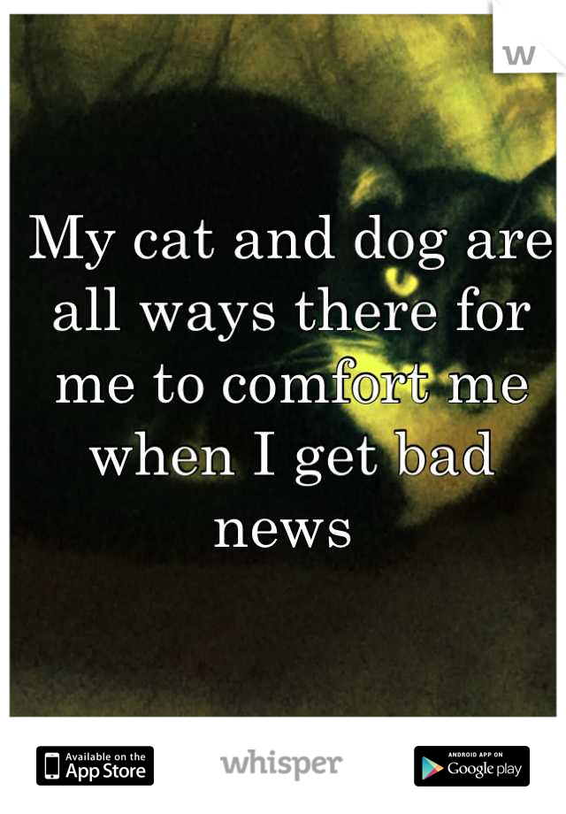 My cat and dog are all ways there for me to comfort me when I get bad news 