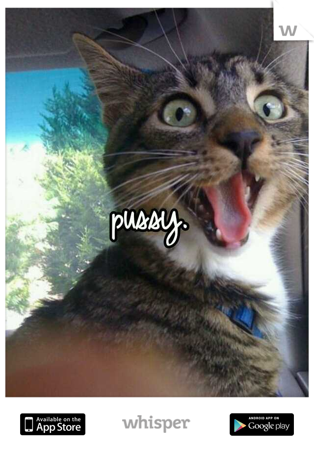 pussy. 