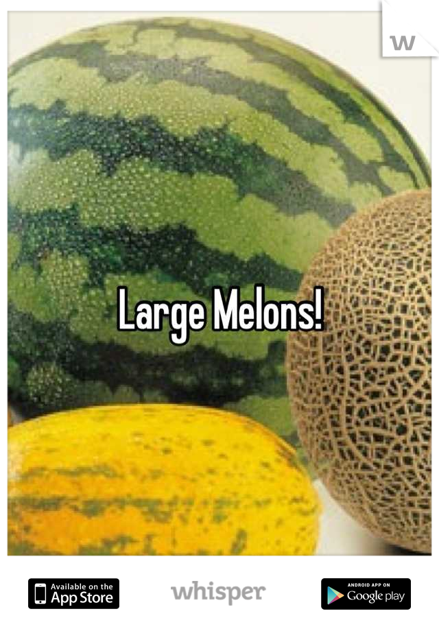 Large Melons!