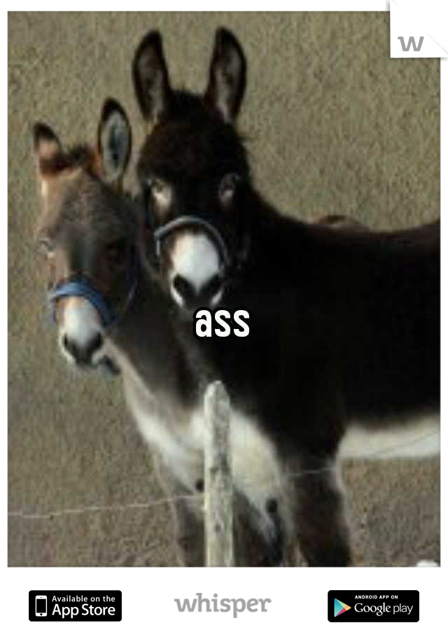 ass