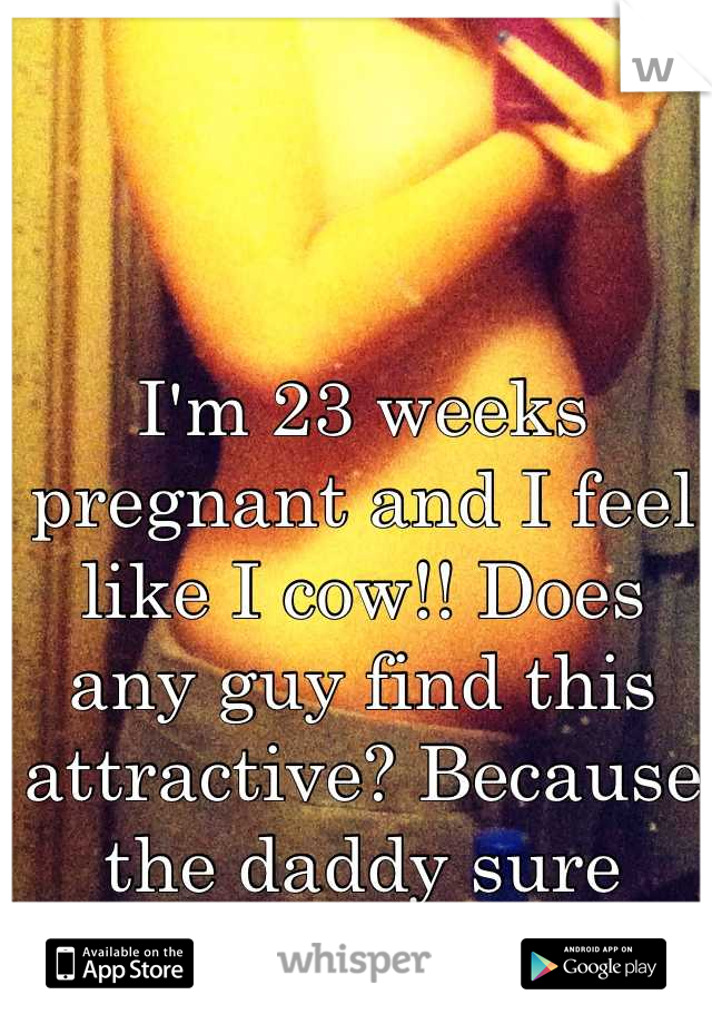 I'm 23 weeks pregnant and I feel like I cow!! Does any guy find this attractive? Because the daddy sure don't. :(