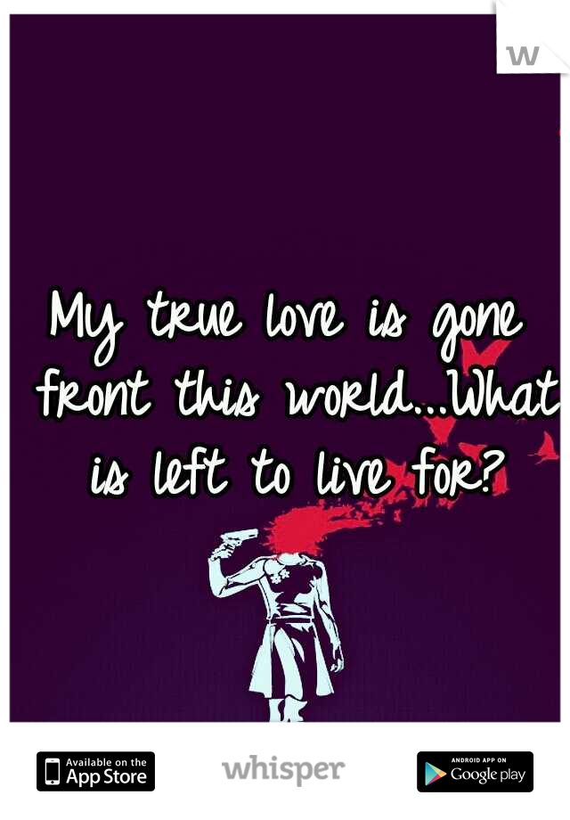 My true love is gone front this world...What is left to live for?