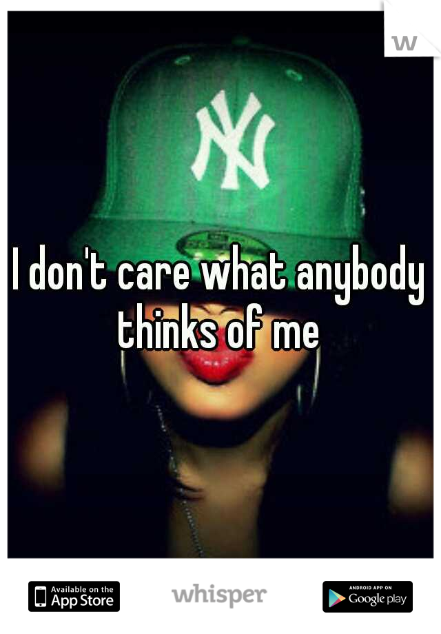 I don't care what anybody thinks of me 