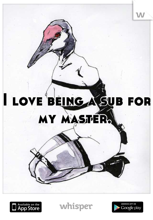 I love being a sub for my master. 