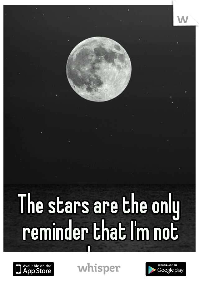 The stars are the only reminder that I'm not alone. 