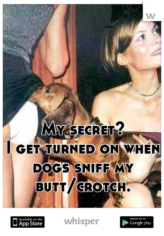 My secret?
I get turned on when dogs sniff my butt/crotch.