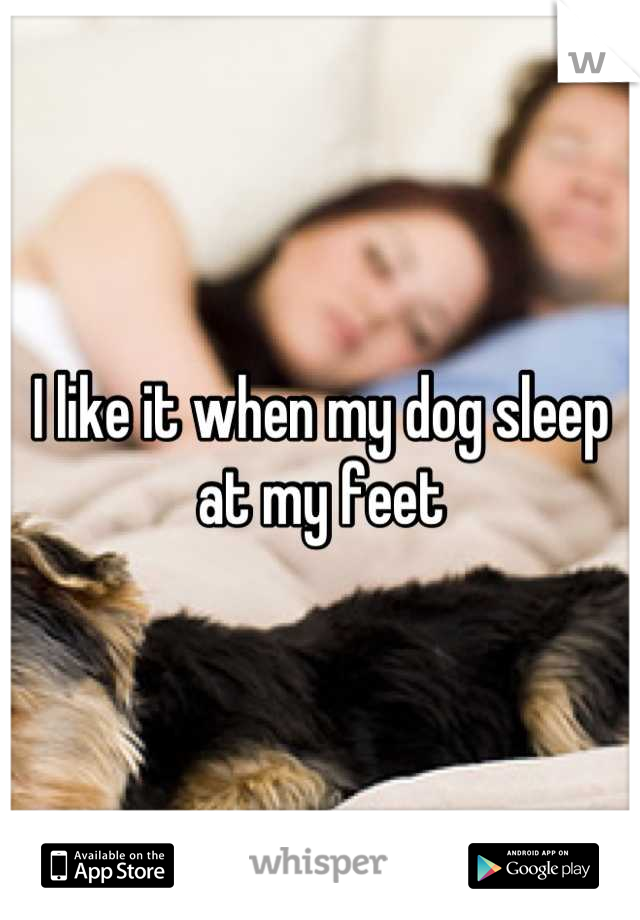 I like it when my dog sleep at my feet
