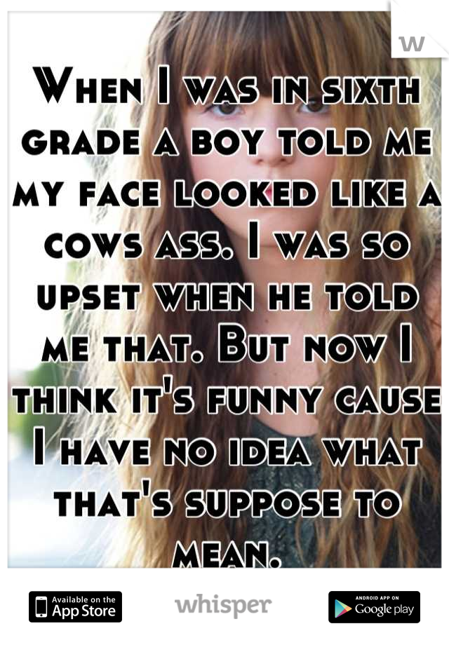 When I was in sixth grade a boy told me my face looked like a cows ass. I was so upset when he told me that. But now I think it's funny cause I have no idea what that's suppose to mean.