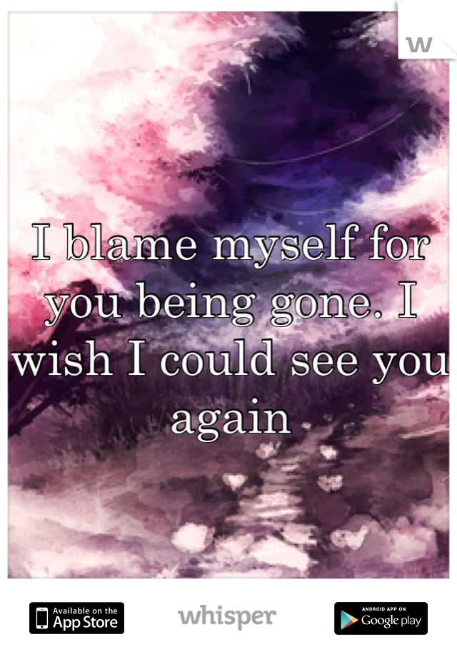 I blame myself for you being gone. I wish I could see you again