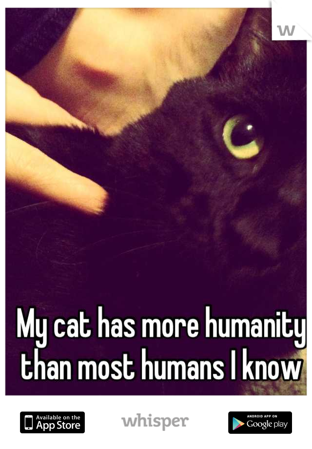 My cat has more humanity than most humans I know