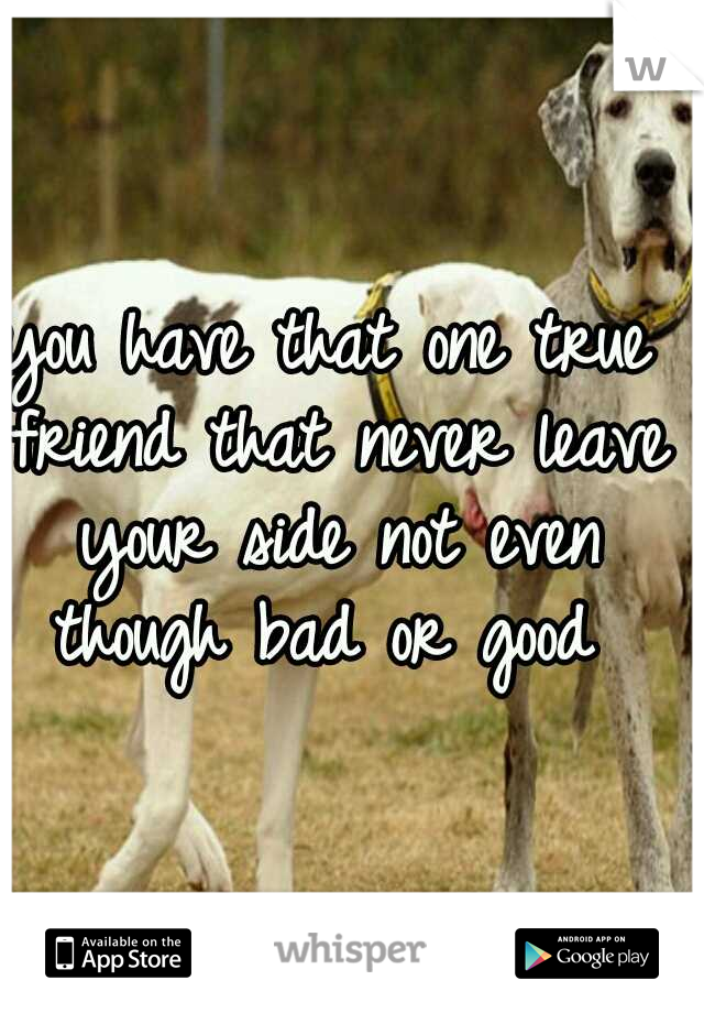 you have that one true friend that never leave your side not even though bad or good 