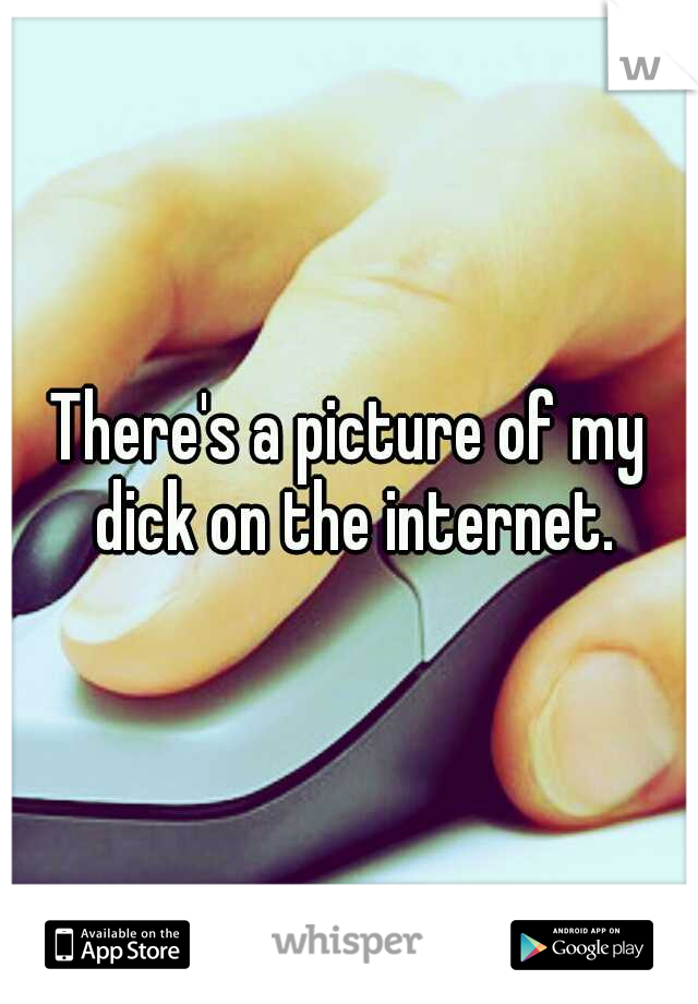 There's a picture of my dick on the internet.