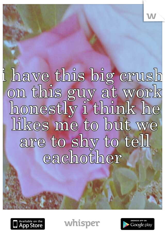 i have this big crush on this guy at work honestly i think he likes me to but we are to shy to tell eachother 