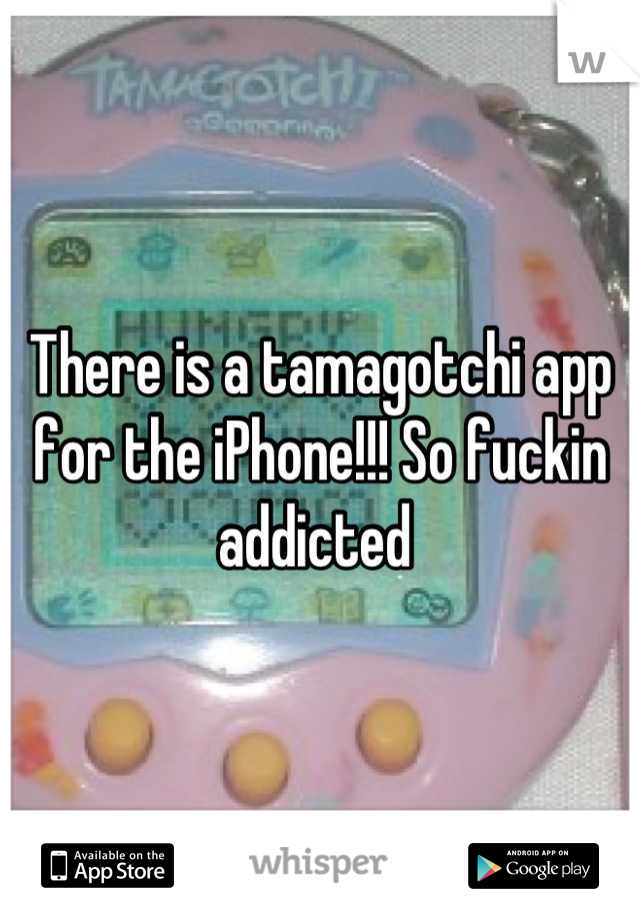 There is a tamagotchi app for the iPhone!!! So fuckin addicted 