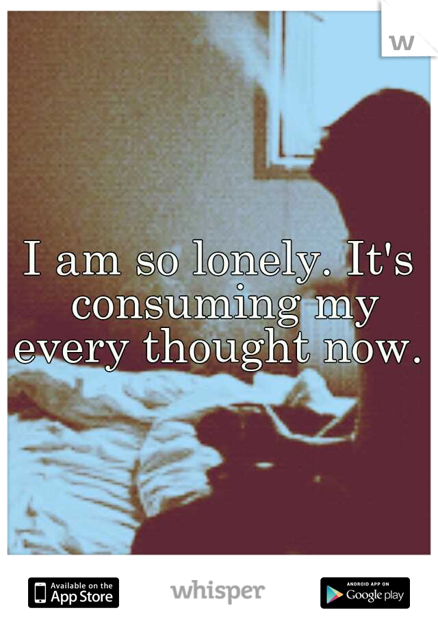 I am so lonely. It's consuming my every thought now. 