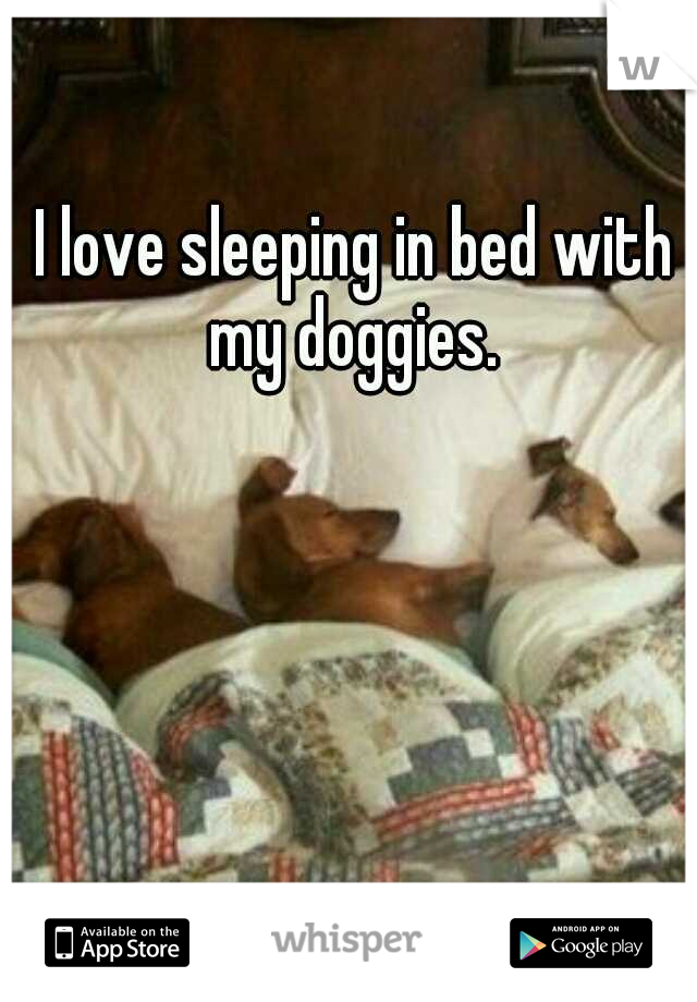 I love sleeping in bed with my doggies. 