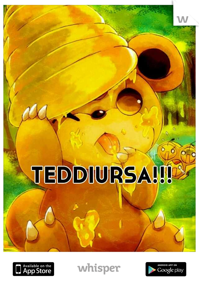 TEDDIURSA!!!