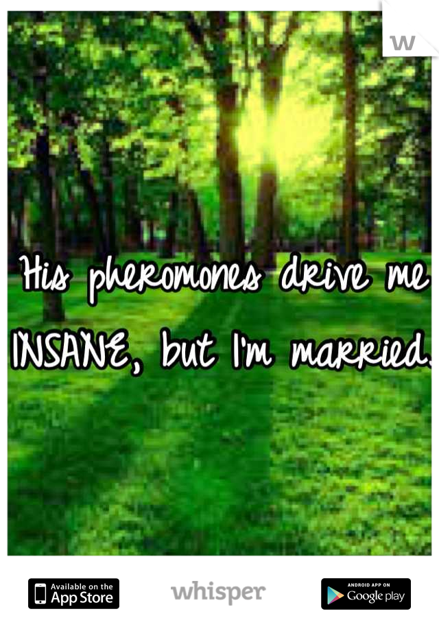 His pheromones drive me INSANE, but I'm married.