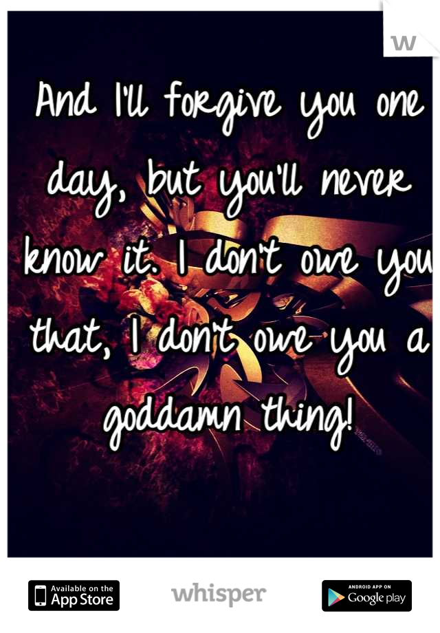 And I'll forgive you one day, but you'll never know it. I don't owe you that, I don't owe you a goddamn thing!