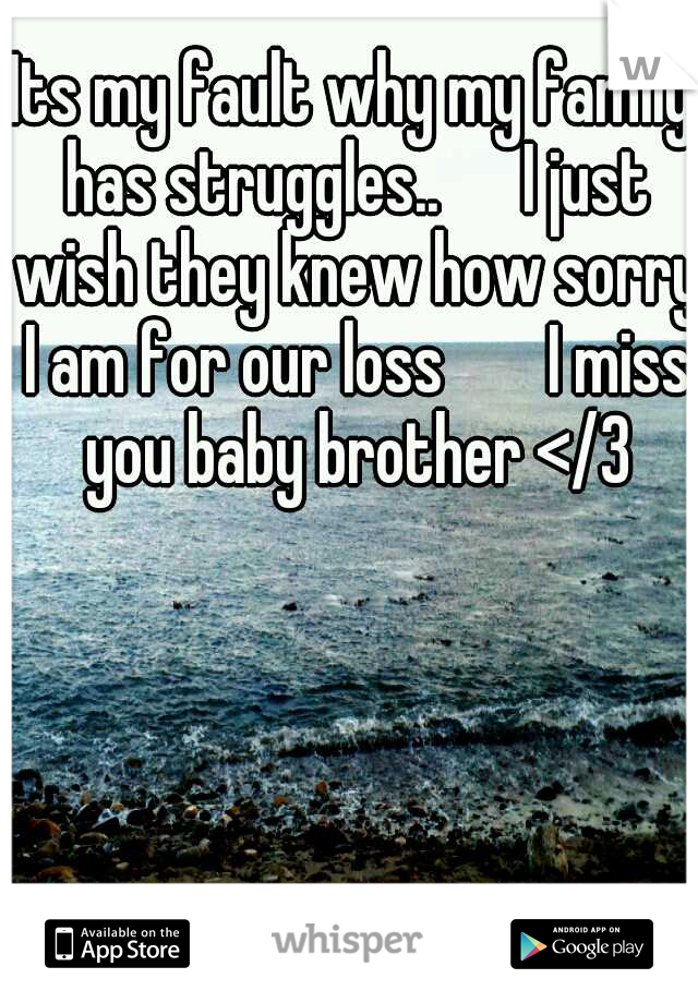 Its my fault why my family has struggles.. 

I just wish they knew how sorry I am for our loss


I miss you baby brother </3