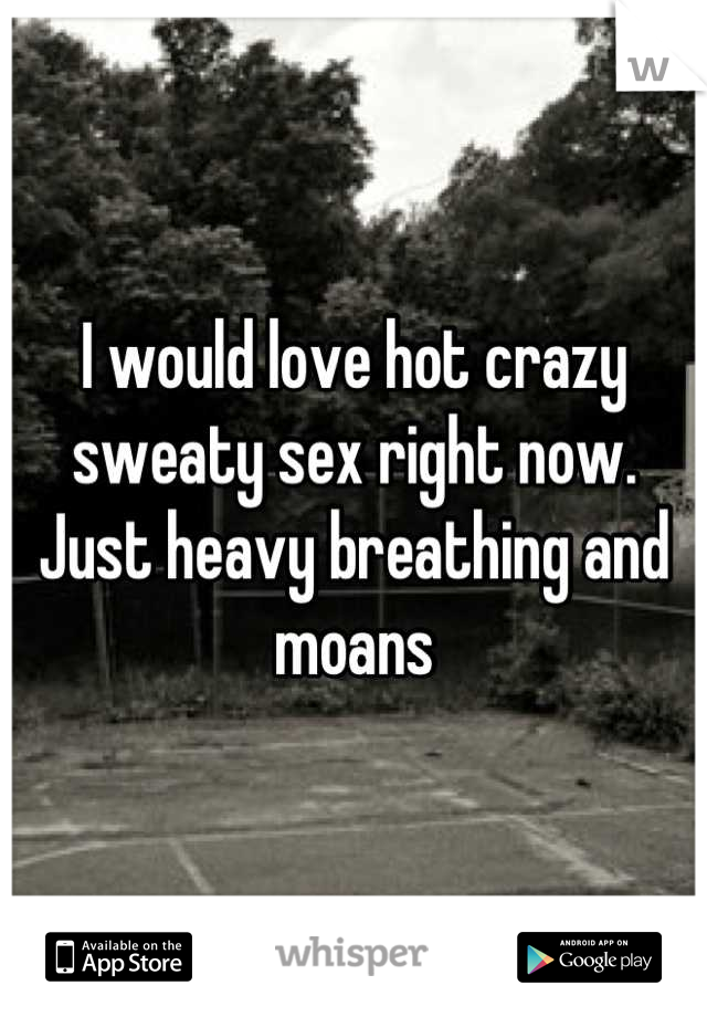 I would love hot crazy sweaty sex right now.
Just heavy breathing and moans