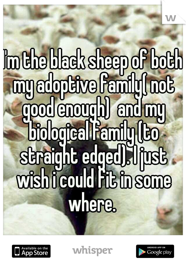 I'm the black sheep of both my adoptive family( not good enough)  and my biological family (to straight edged). I just wish i could fit in some where. 