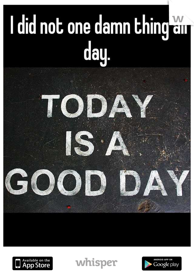 I did not one damn thing all day. 