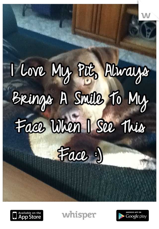 I Love My Pit, Always Brings A Smile To My Face When I See This Face :)