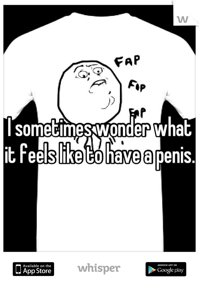 I sometimes wonder what it feels like to have a penis.