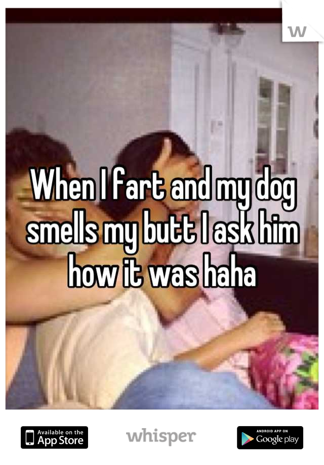 When I fart and my dog smells my butt I ask him how it was haha