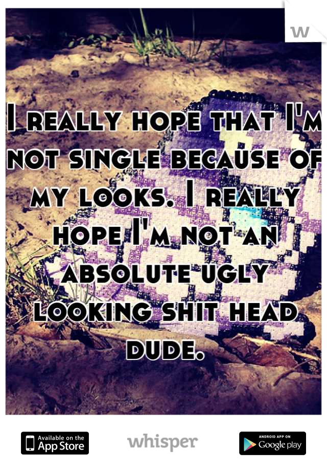 I really hope that I'm not single because of my looks. I really hope I'm not an absolute ugly looking shit head dude.