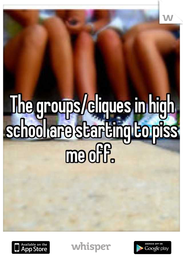 The groups/cliques in high school are starting to piss me off. 