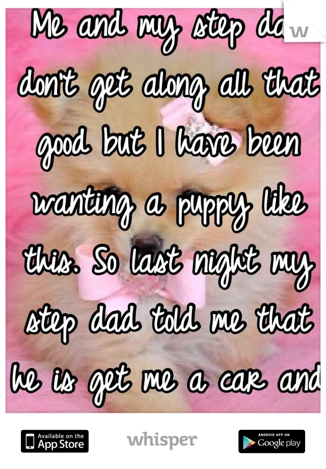 Me and my step dad don't get along all that good but I have been wanting a puppy like this. So last night my step dad told me that he is get me a car and a puppy! <3