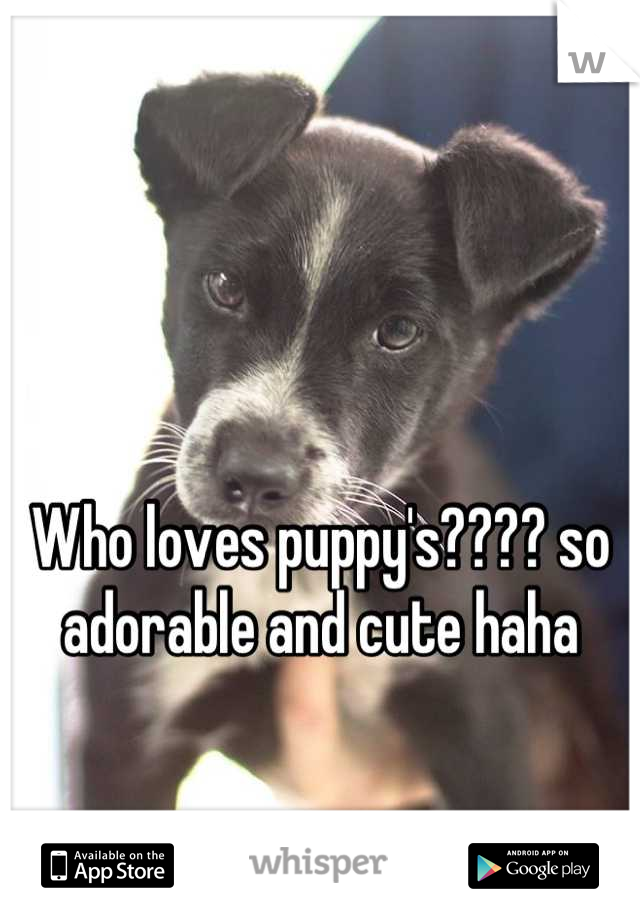 Who loves puppy's???? so adorable and cute haha