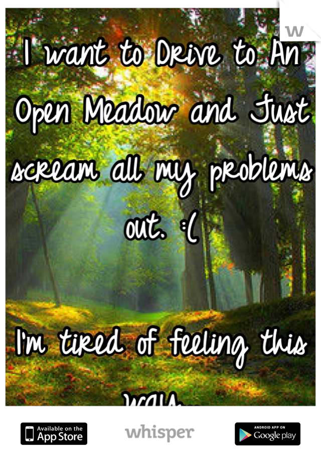 I want to Drive to An Open Meadow and Just scream all my problems out. :(

I'm tired of feeling this way...