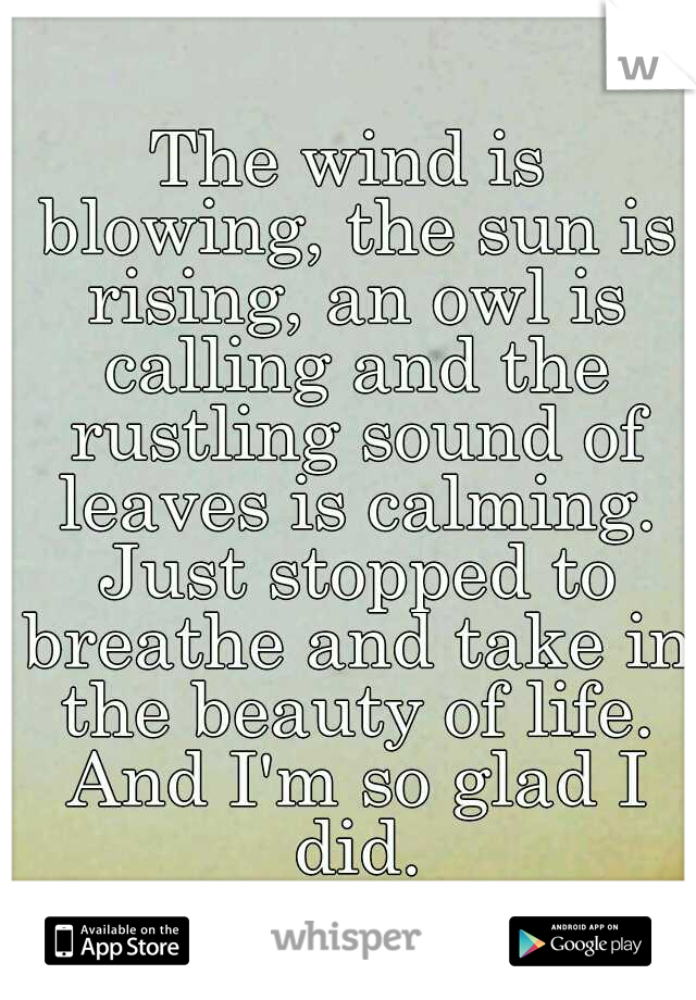 The wind is blowing, the sun is rising, an owl is calling and the rustling sound of leaves is calming. Just stopped to breathe and take in the beauty of life. And I'm so glad I did.