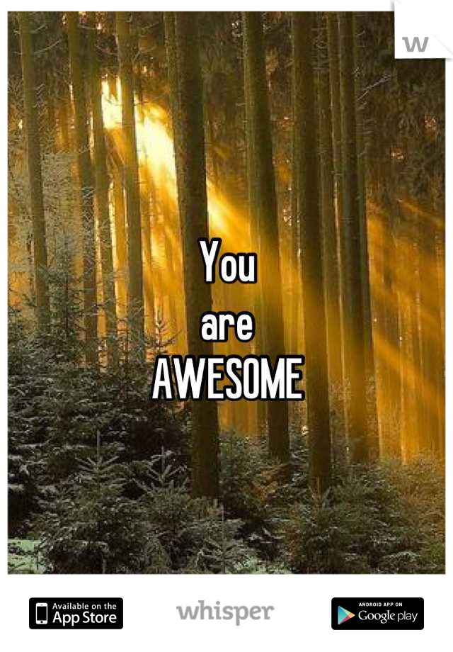 You
are
AWESOME