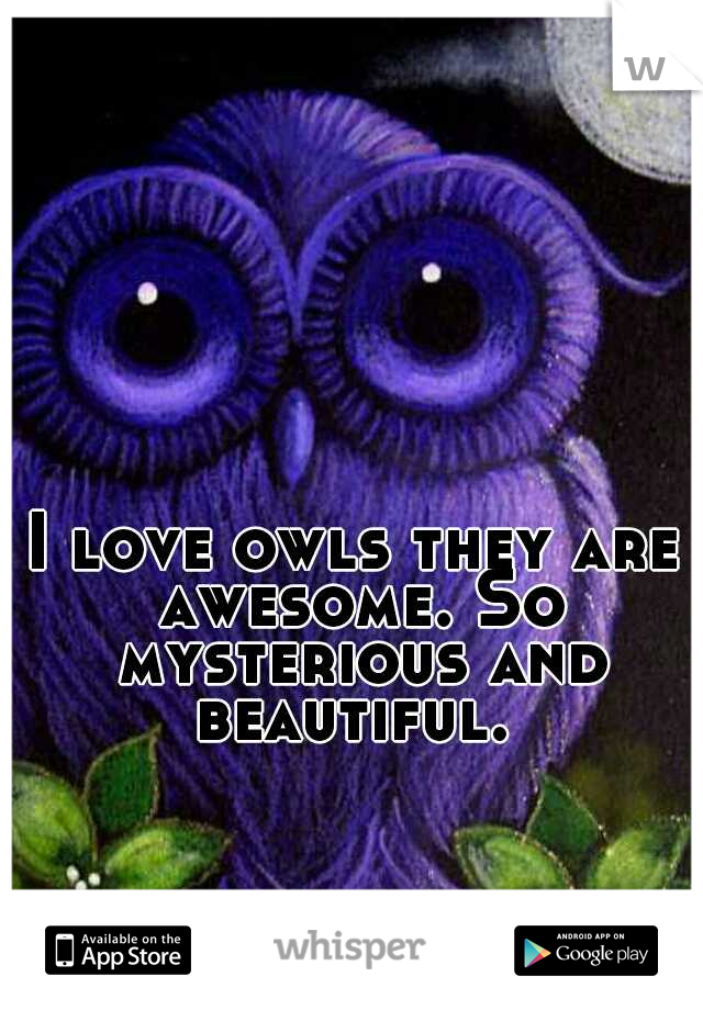 I love owls they are awesome. So mysterious and beautiful. 